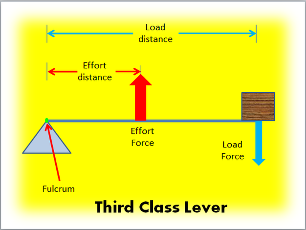 Third class lever